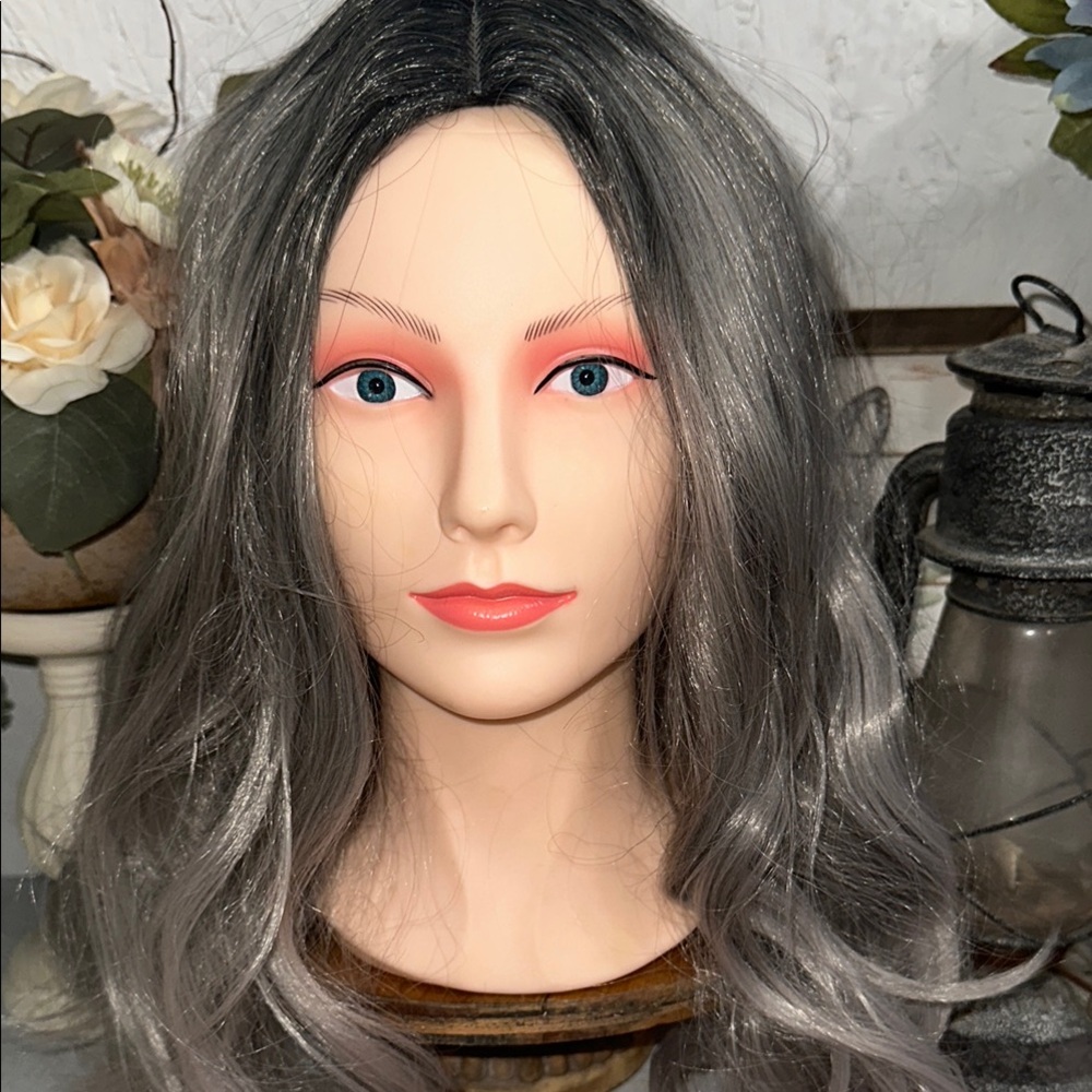 NWOT Elegant Gray Ombre Wig